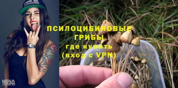 spice Абинск