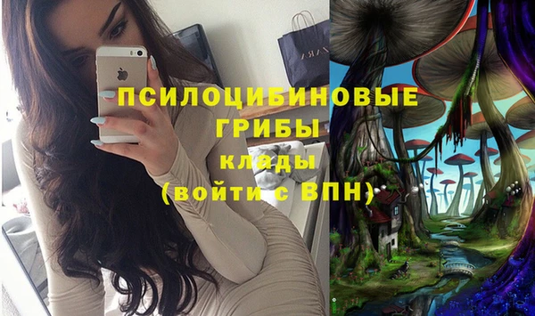 гидропоника Алексин