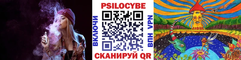 Псилоцибиновые грибы Psilocybine cubensis  купить  сайты  shop наркотические препараты  Николаевск-на-Амуре 