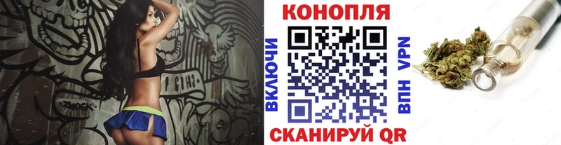 Бошки Шишки OG Kush  продажа наркотиков  Николаевск-на-Амуре 